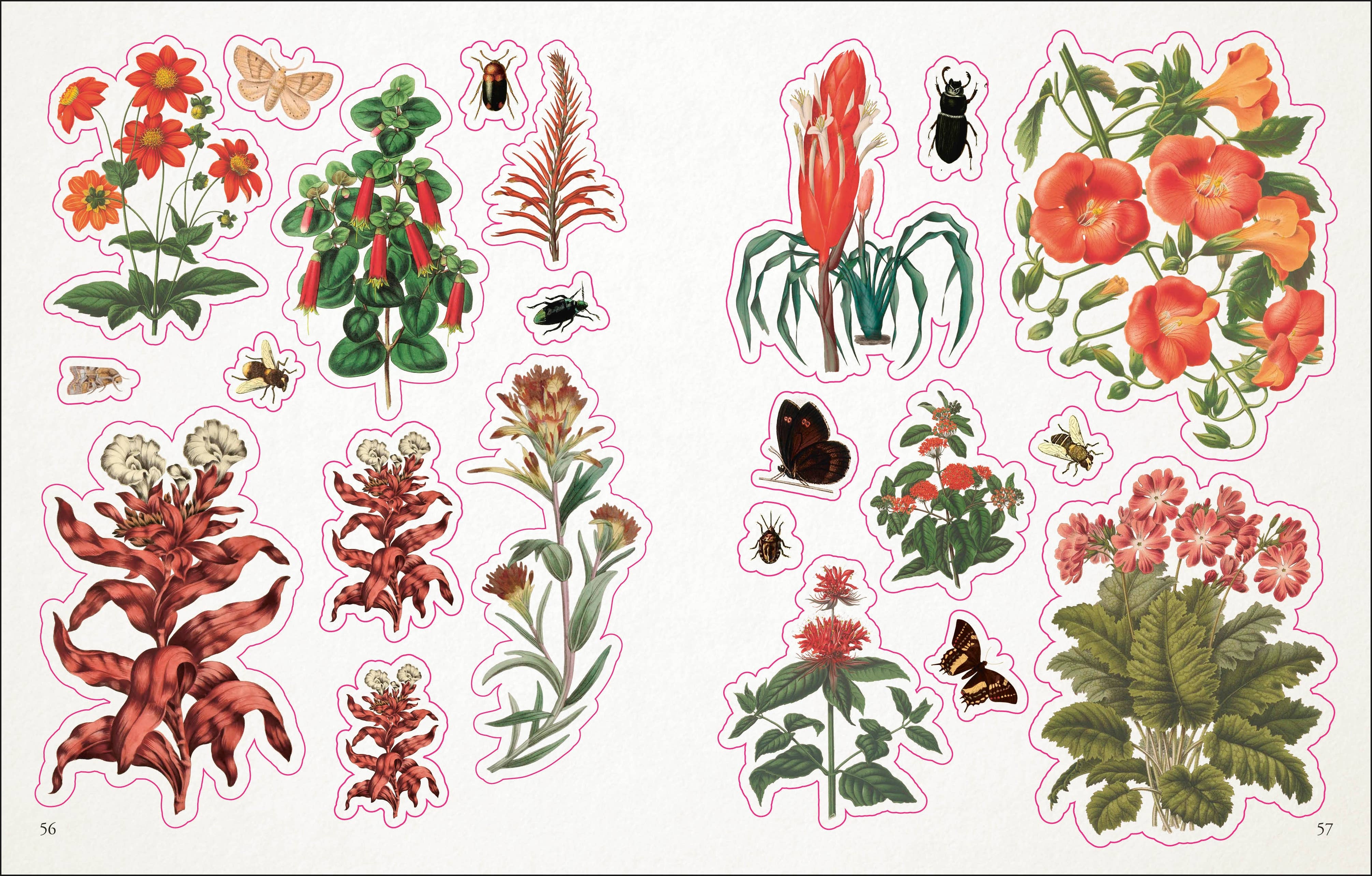 Botanist's Sticker Anthology