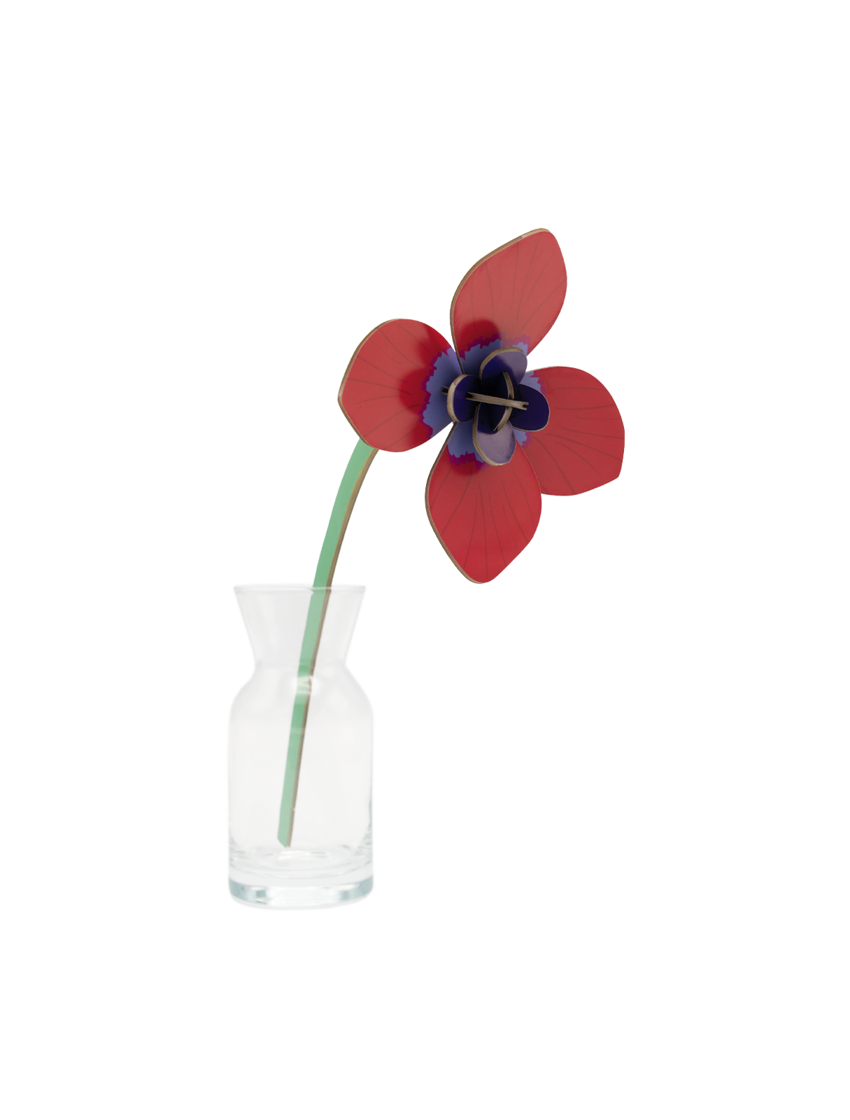 Red Anemone | DIY 3D Small Everlasting Flower Craft Kit
