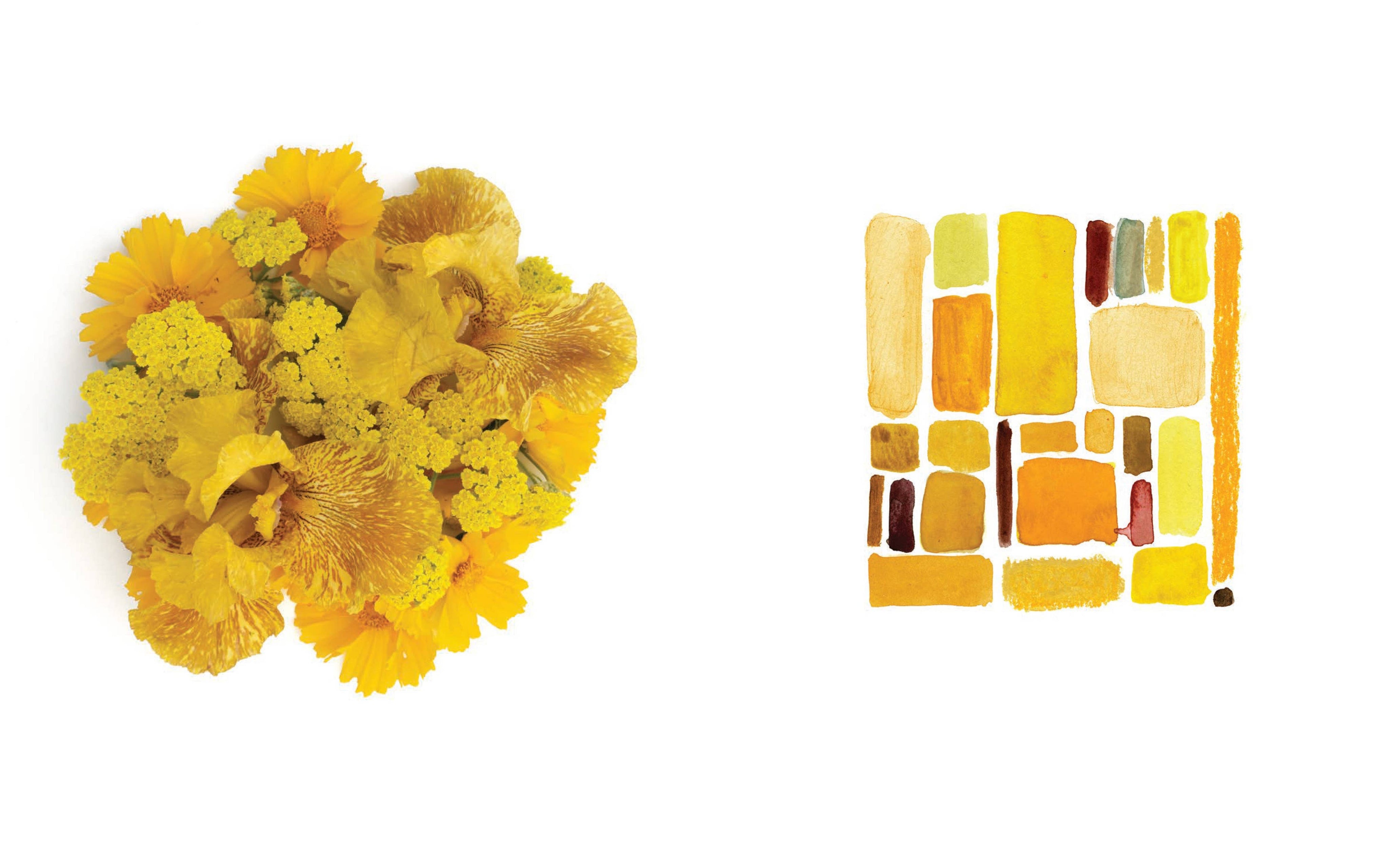 Yellow flowers on the left and a grid of yellow squares on the right against a white background