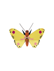 Luzerne Butterfly 3D DIY Wall Art Craft