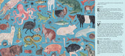 Markets: A World to Discover (Children's Book)