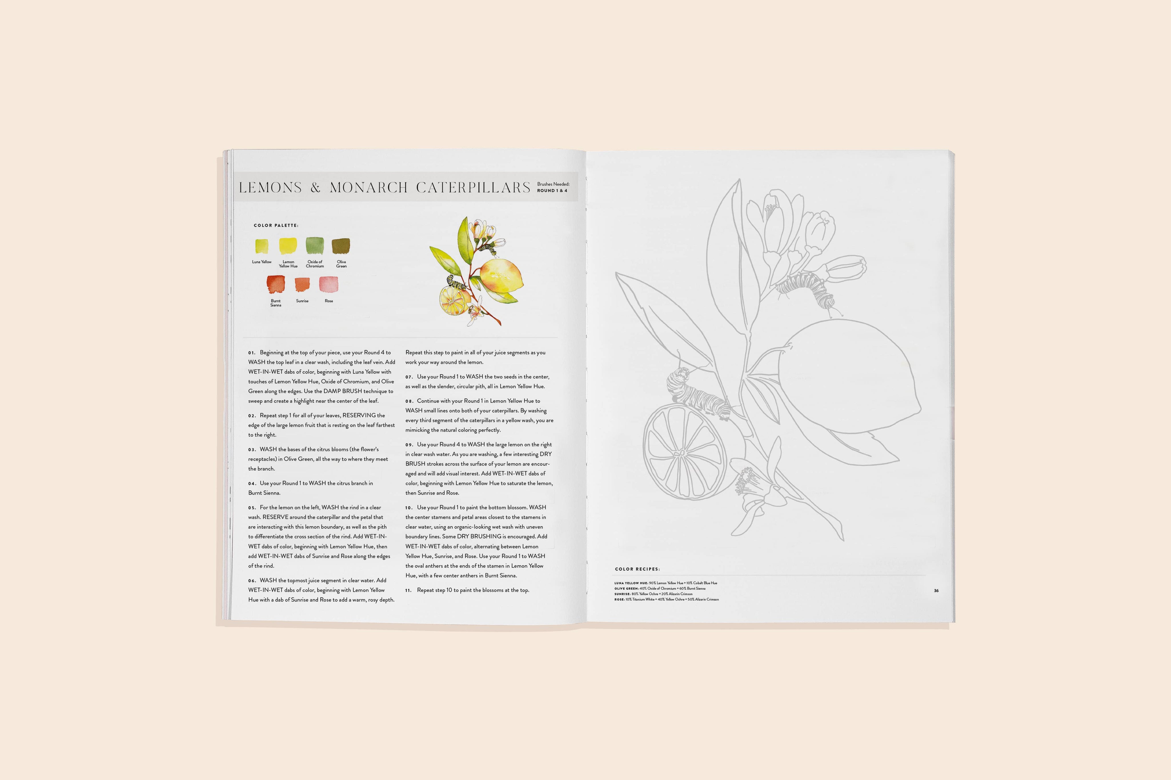 Watercolor Workbook 2 - Flowers, Feathers & Animal Friends