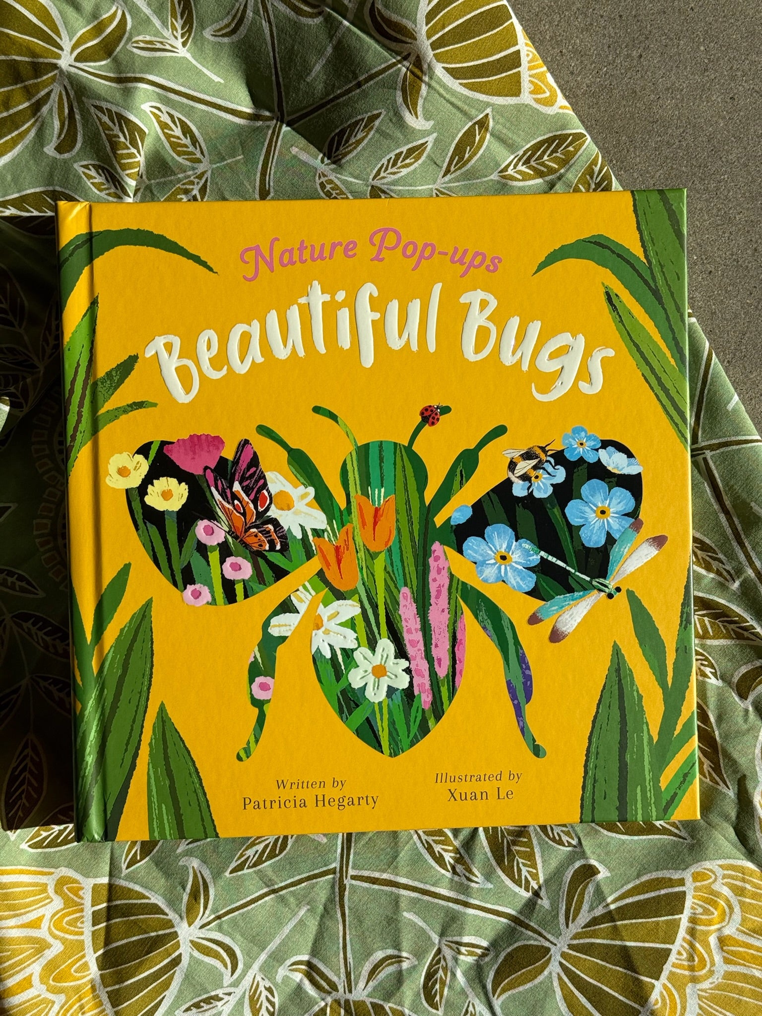 Beautiful Bugs | Nature Pop-Ups
