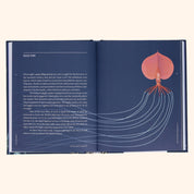 Sea Wonders