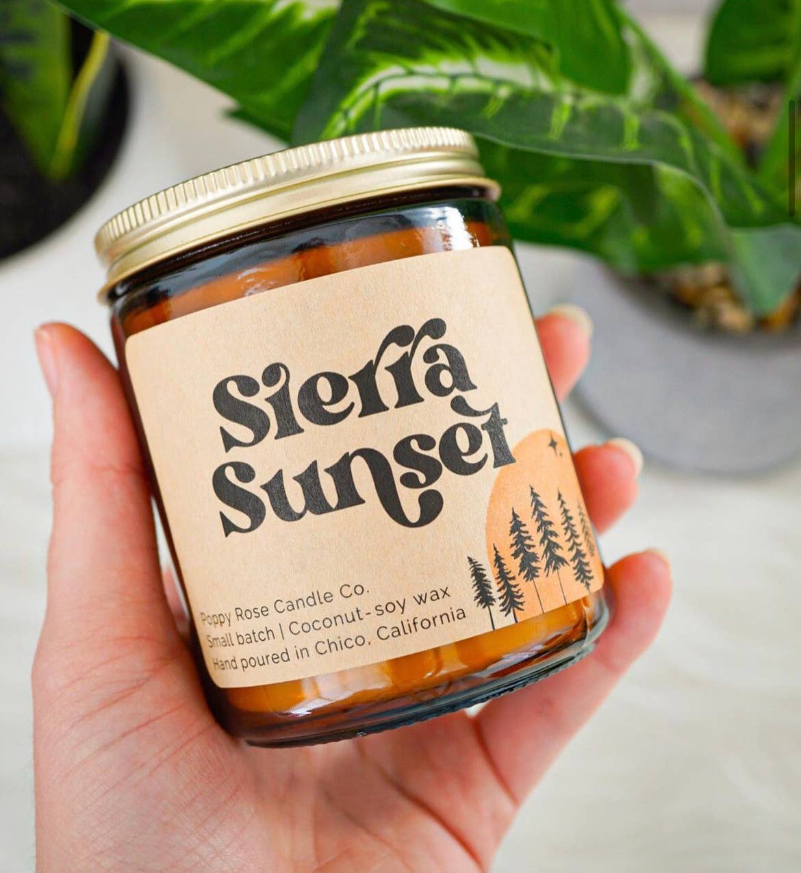 Sierra Sunset Coconut Wax Candle