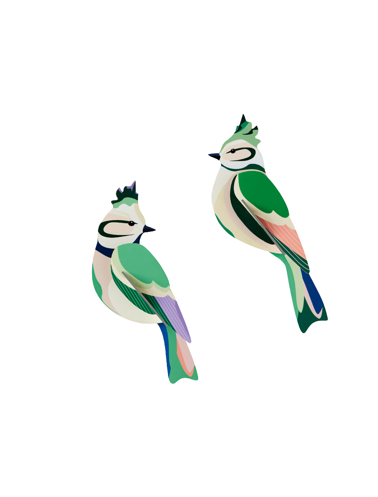 Forest Crests, Garden Birds | 3D Wall Art Craft Kit