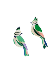 Forest Crests, Garden Birds | 3D Wall Art Craft Kit