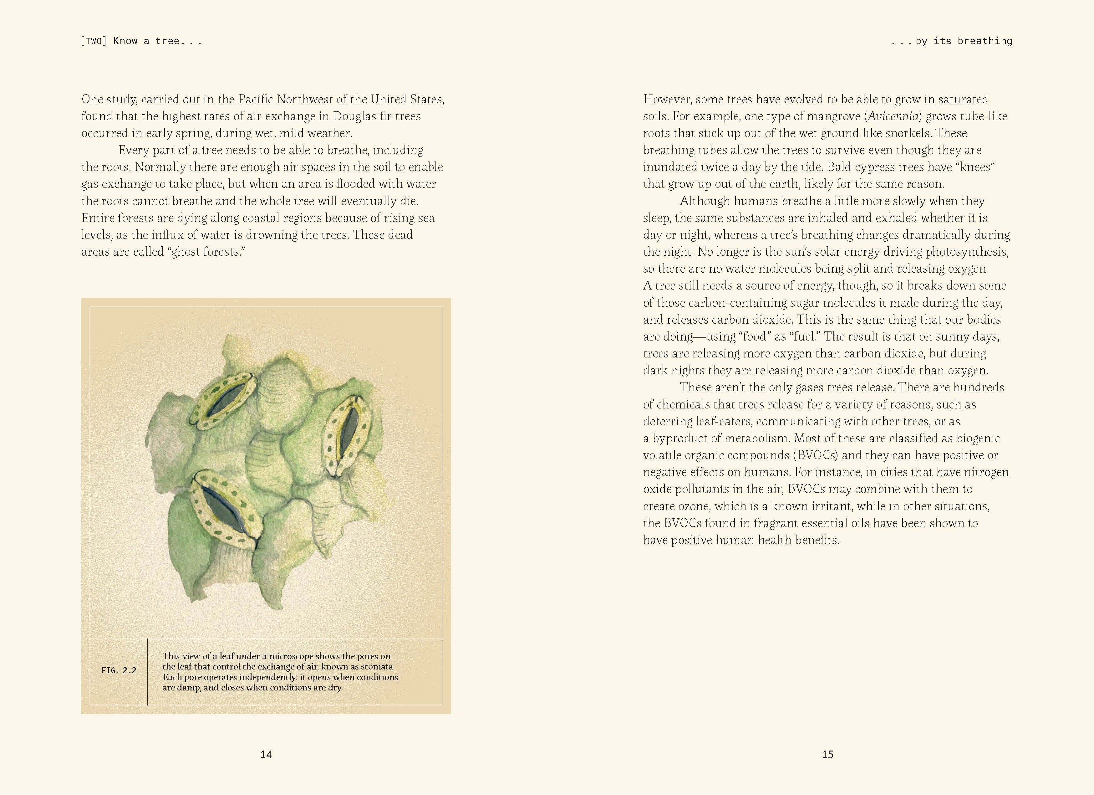 Forty Ways to Know a Tree