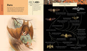 Mammalia (Illustrated Children's Book about Animals)