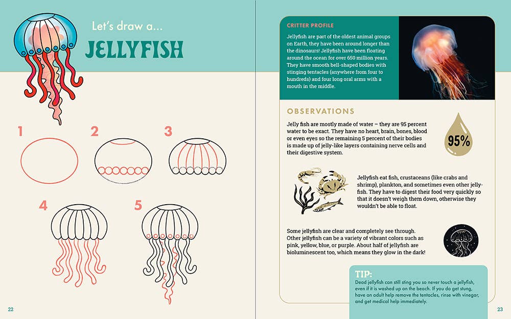 The Ocean Explorer's Drawing Guide For Kids