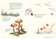 Sketching Outside: An Illustrated Guide to Making Art on the Go