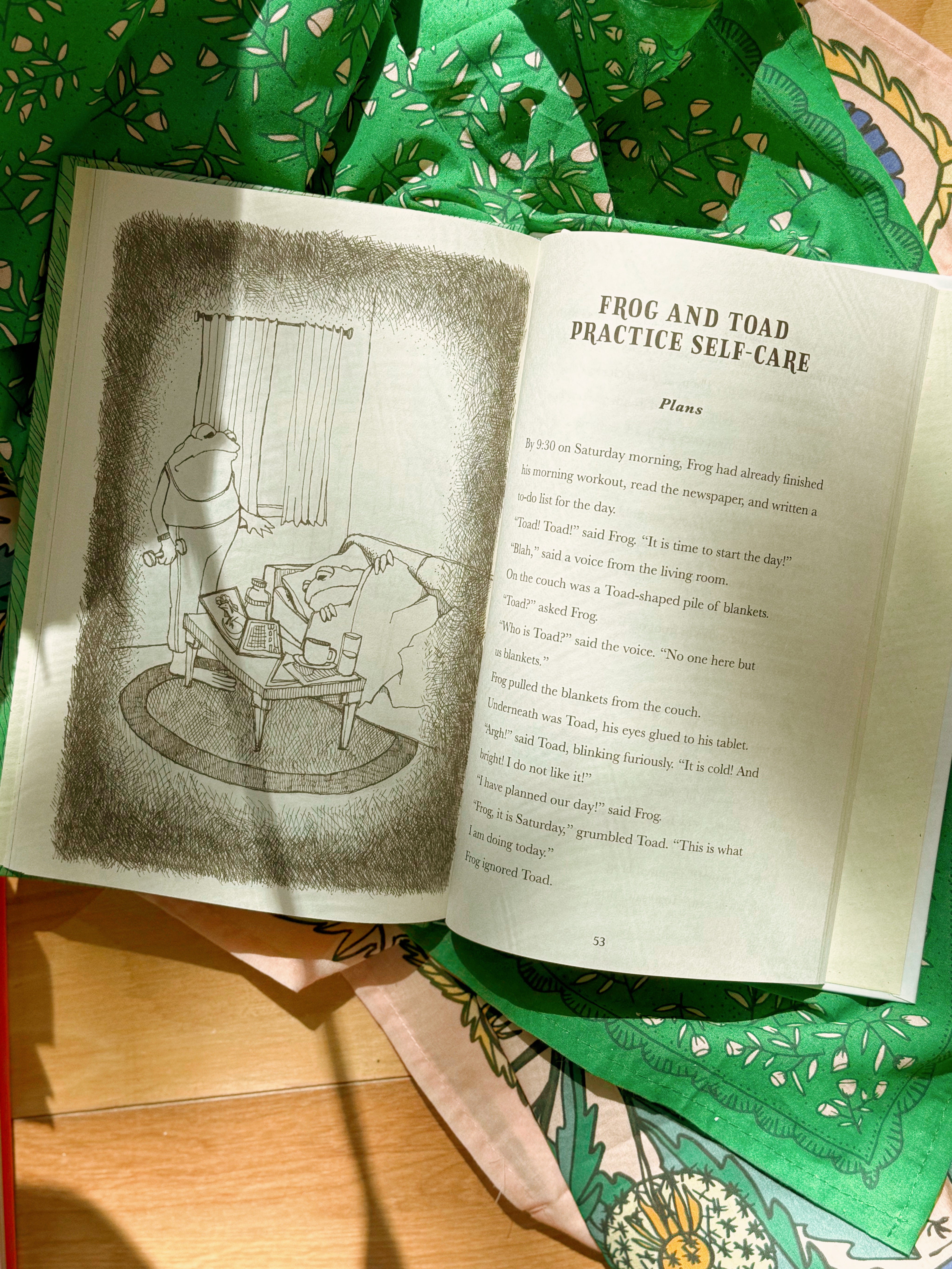 Frog and Toad are Doing Their Best [A Parody]