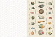 The Collage Compendium