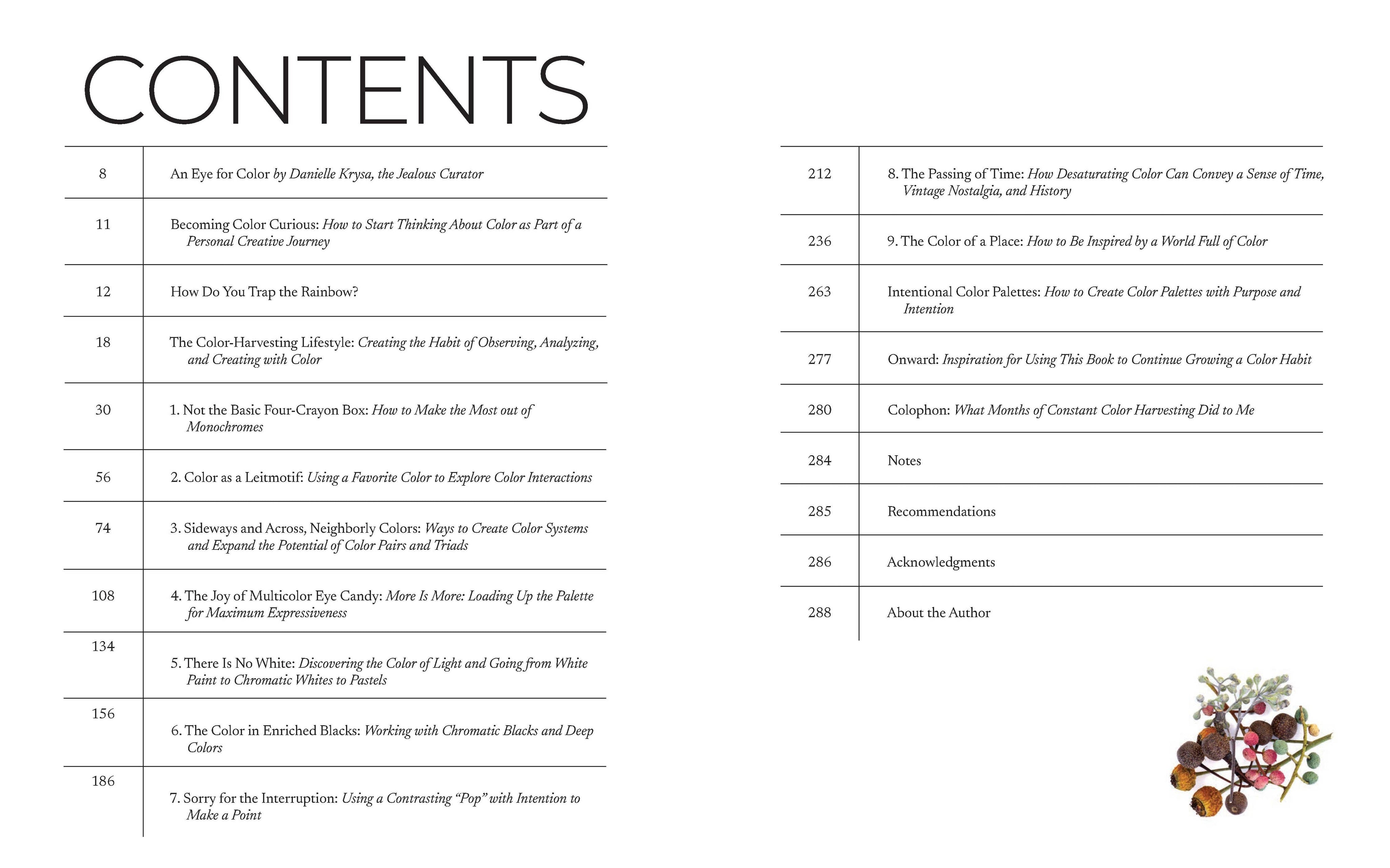 Table of contents for a book on color theory with a decorative element at the bottom.