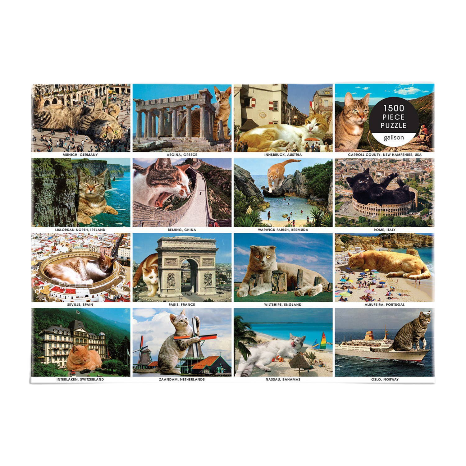 Vacation Cats 1500 Piece Puzzle