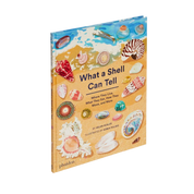 What A Shell Can Tell