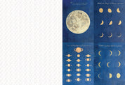 The Collage Compendium