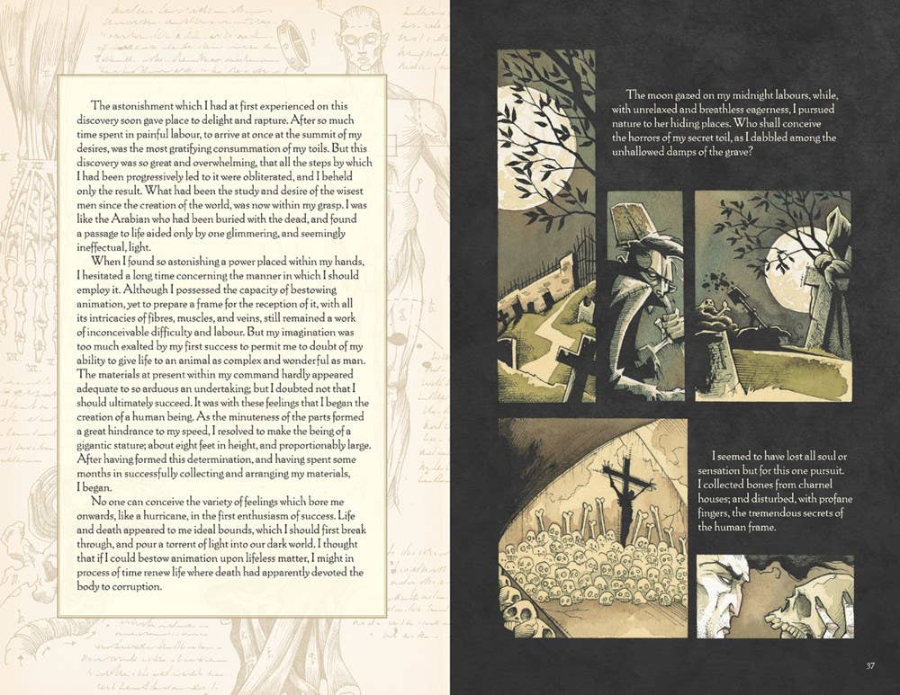 Gris Grimly's Frankenstein | Graphic Novel