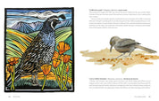 Birds of the West An Artist's Guide