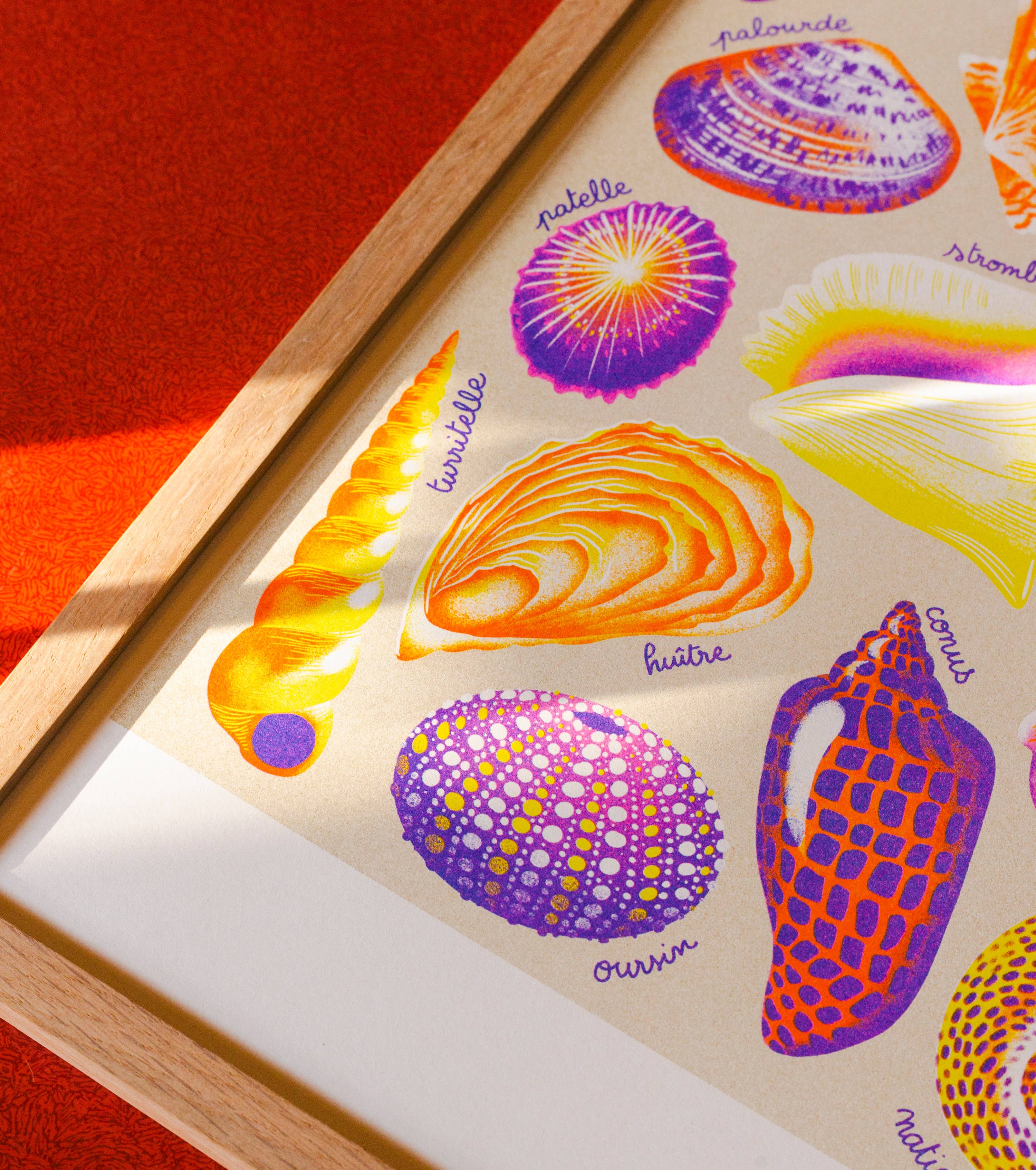 Shells A3 Poster - Manon Bucciarelli