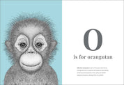 Animal Alphabet