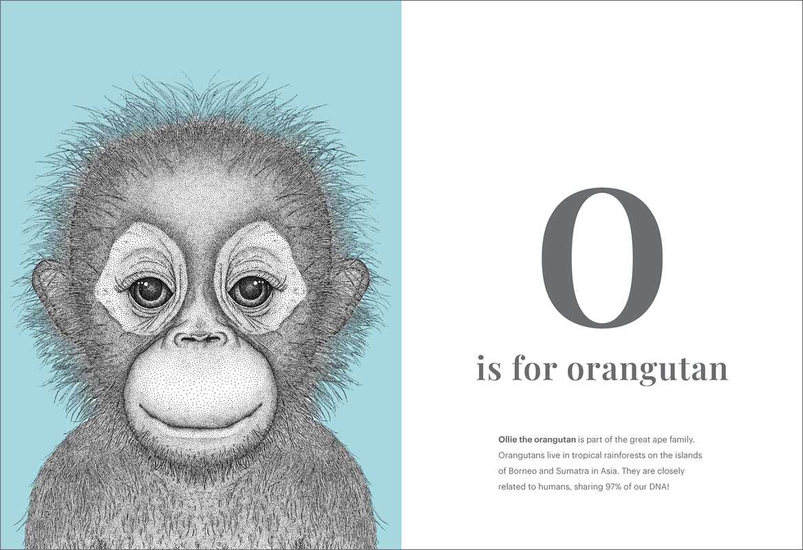 Animal Alphabet