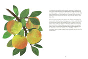 Tree Lore