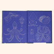 Sea Wonders
