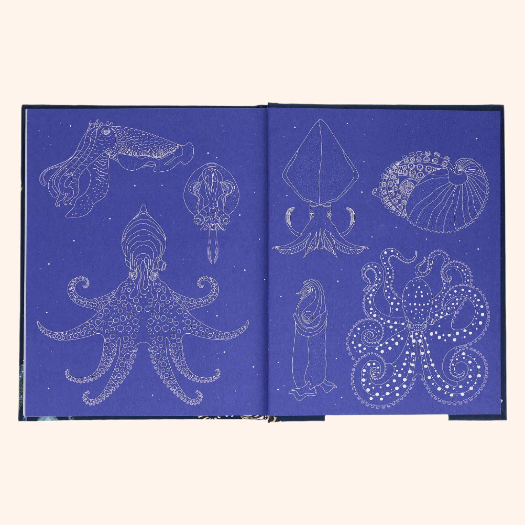 Sea Wonders