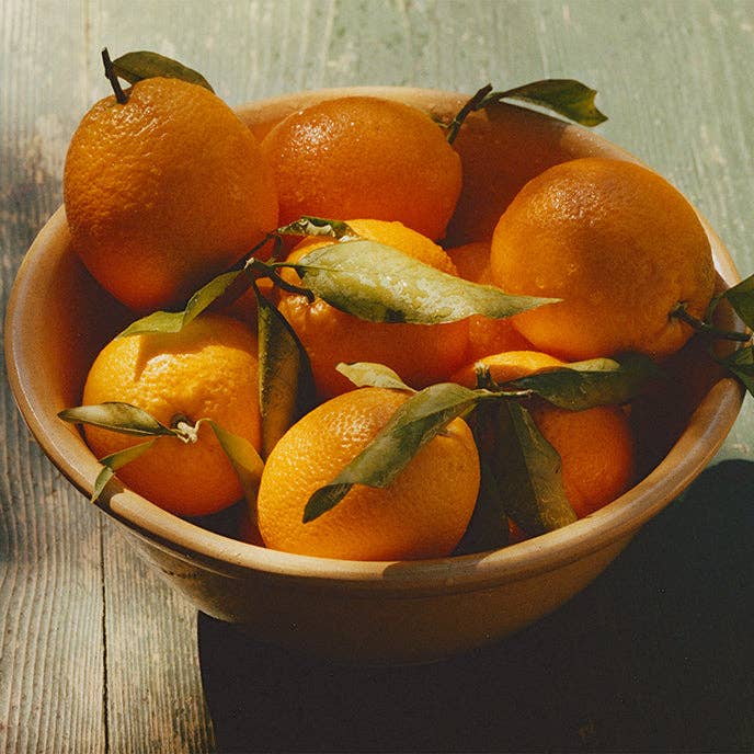 Ruby Valencia & Apricot Fruit Spread - 8.50oz