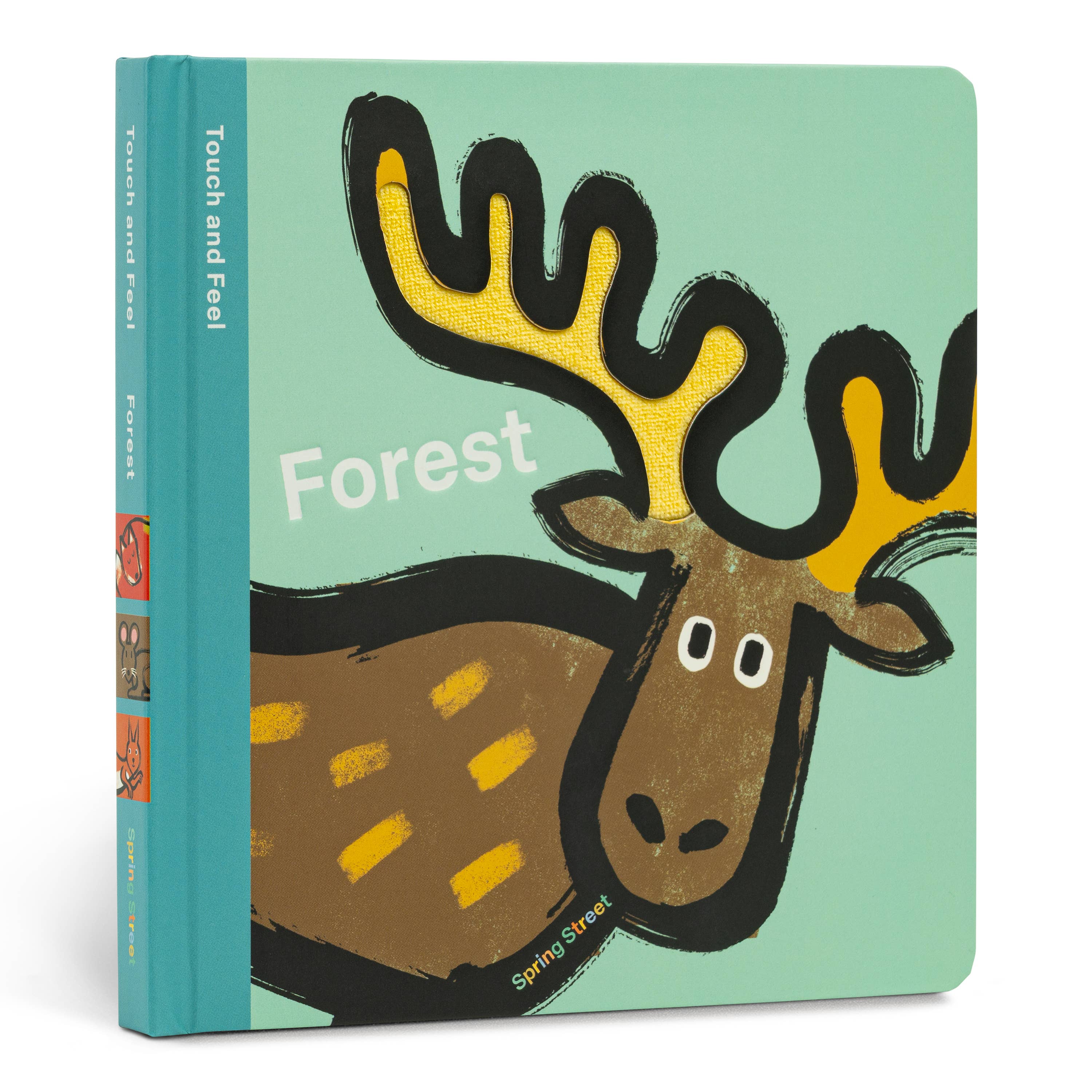 Forest Animals: Spring Street Touch and Feel