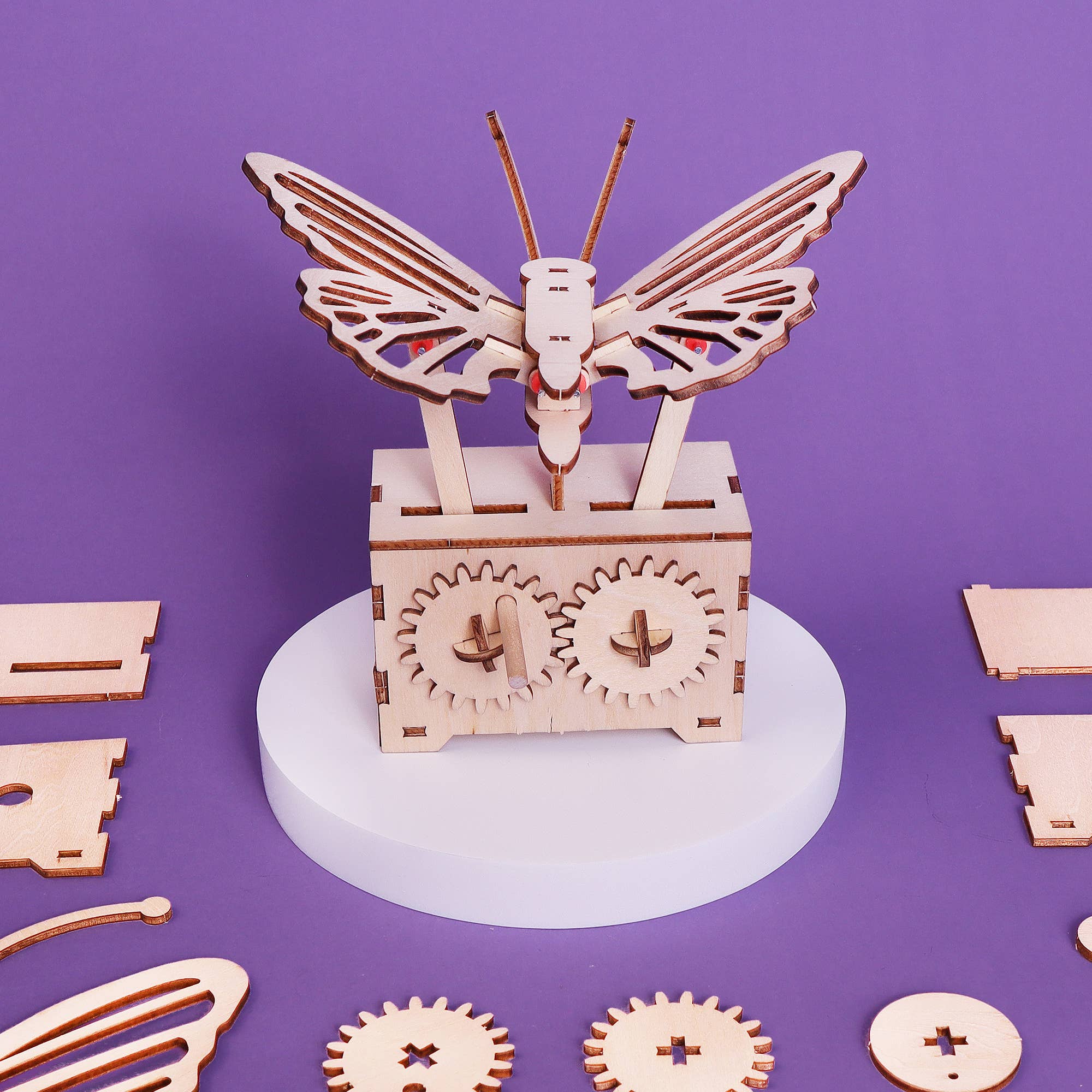 Fluttering Butterfly DIY Craft Kit