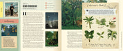 Art: An Interactive Guide