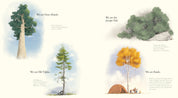 The Witness Trees (Children's Book)