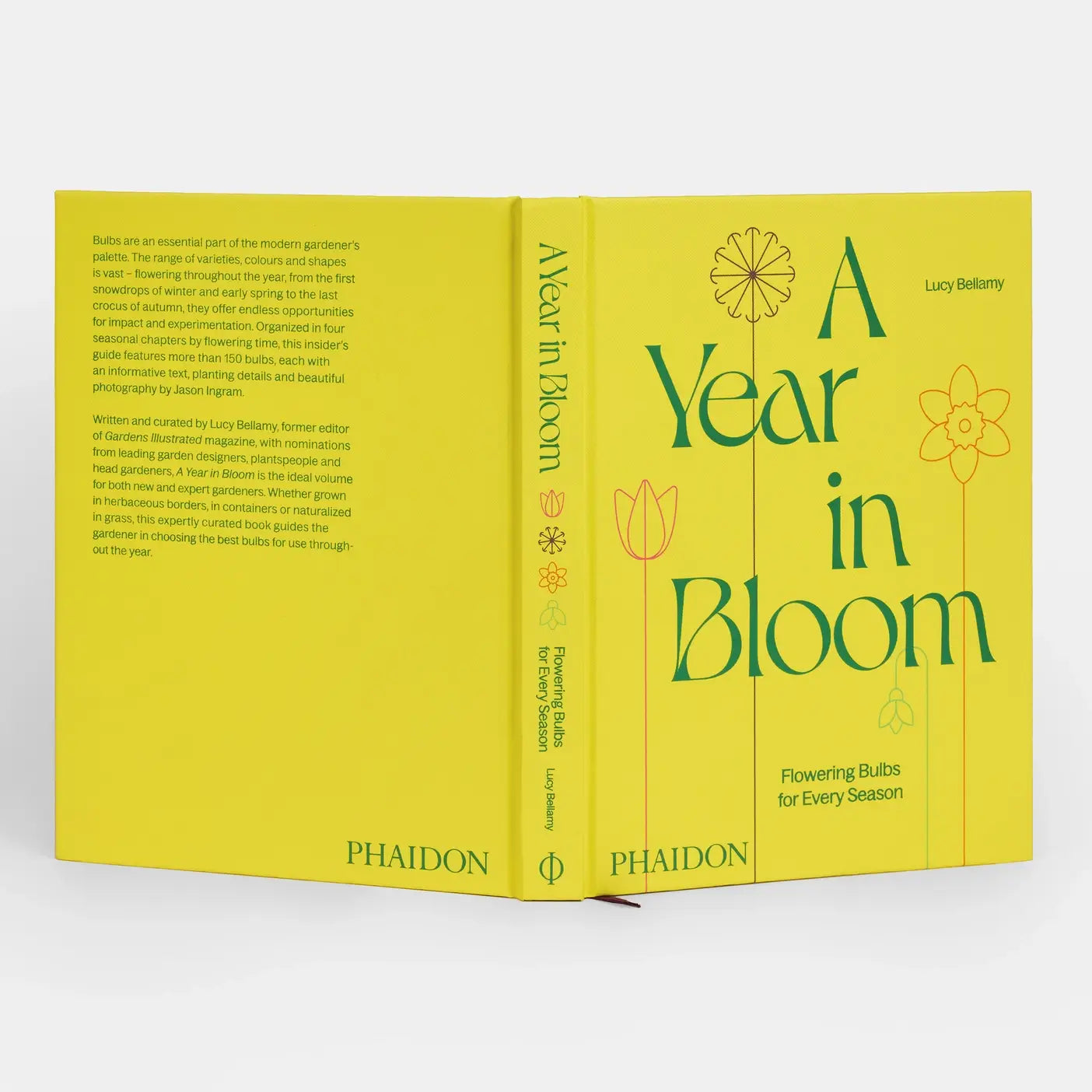 A Year In Bloom: Flowering Bulbs For Every Season