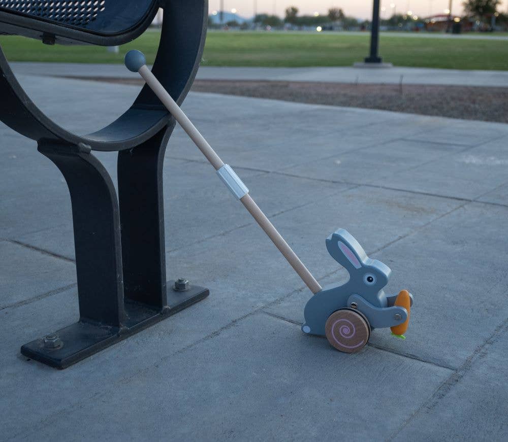 Bunny Roll-along Push Toy