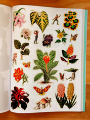Cut Up This Book and Create Your Own Extraordinary Places