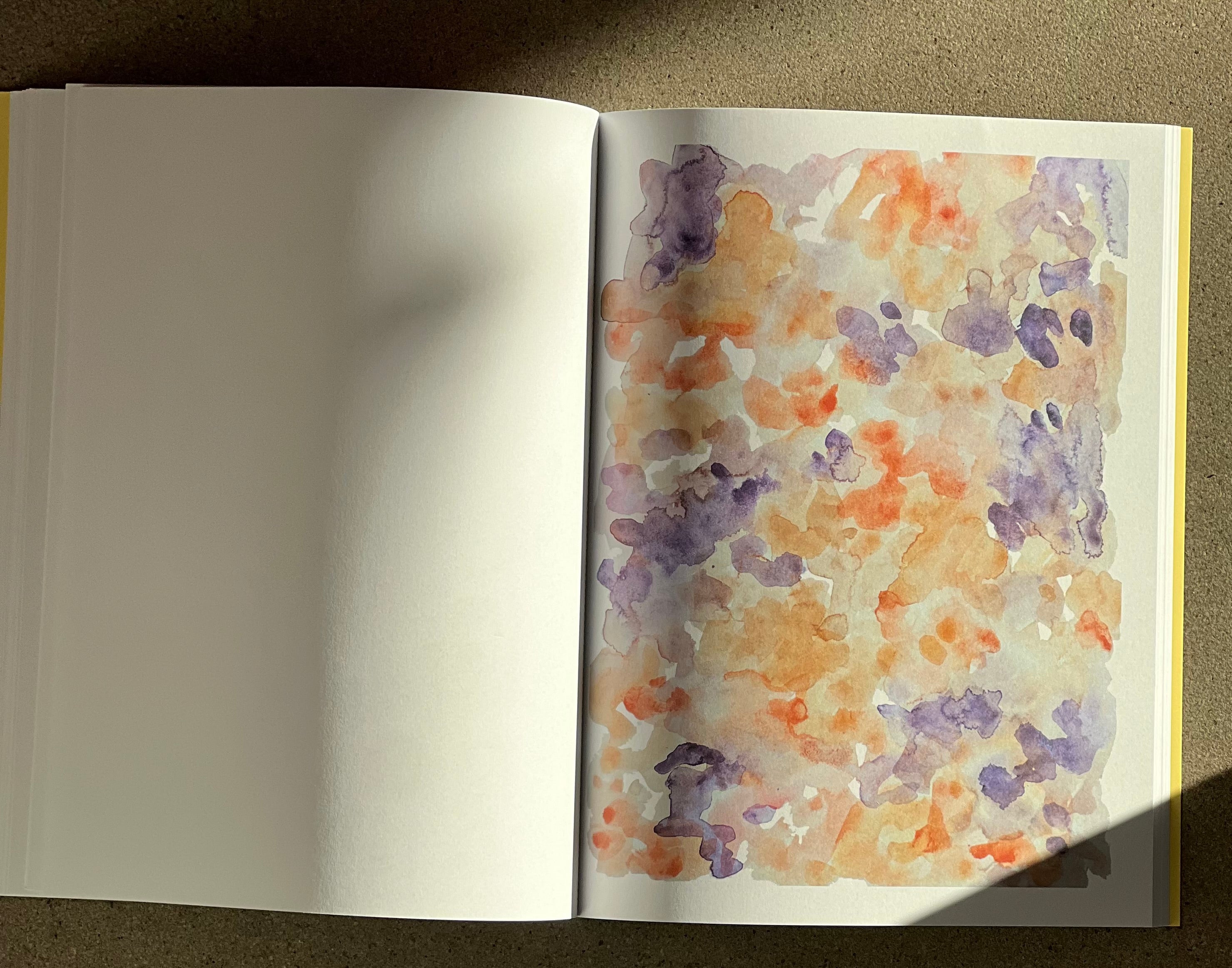 The Reverse Coloring Book