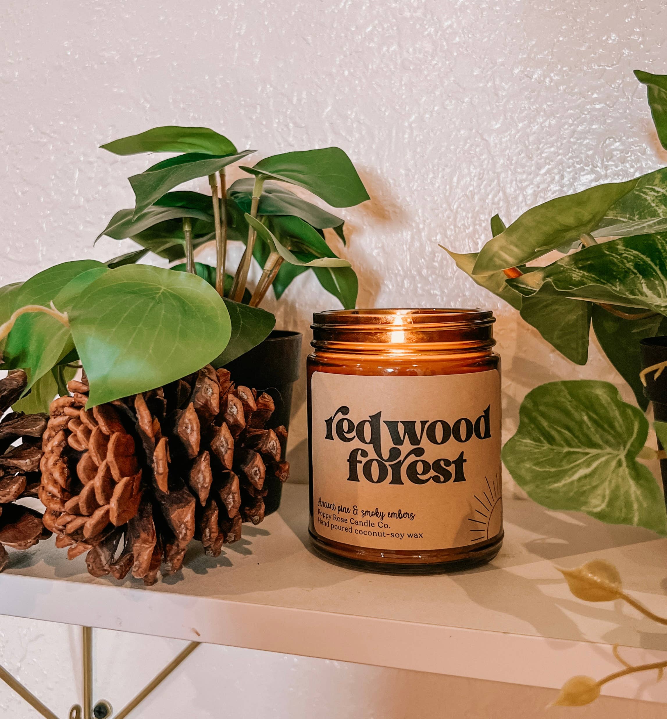 Redwood Forest 8 oz Coconut Wax Candle