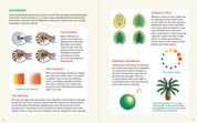 The Dinosaur Explorer's Drawing Guide For Kids