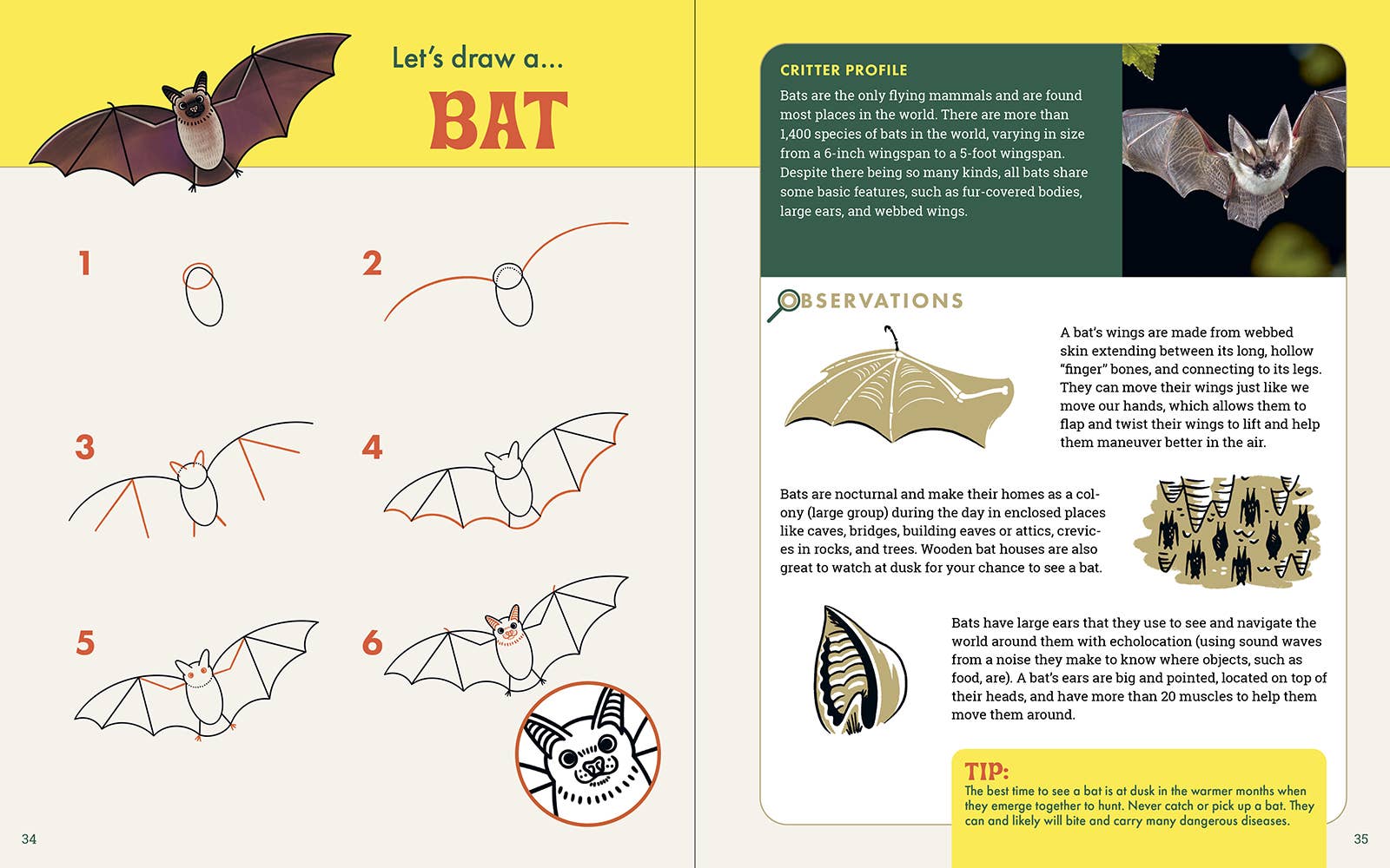 The Nature Explorer's Drawing Guide For Kids