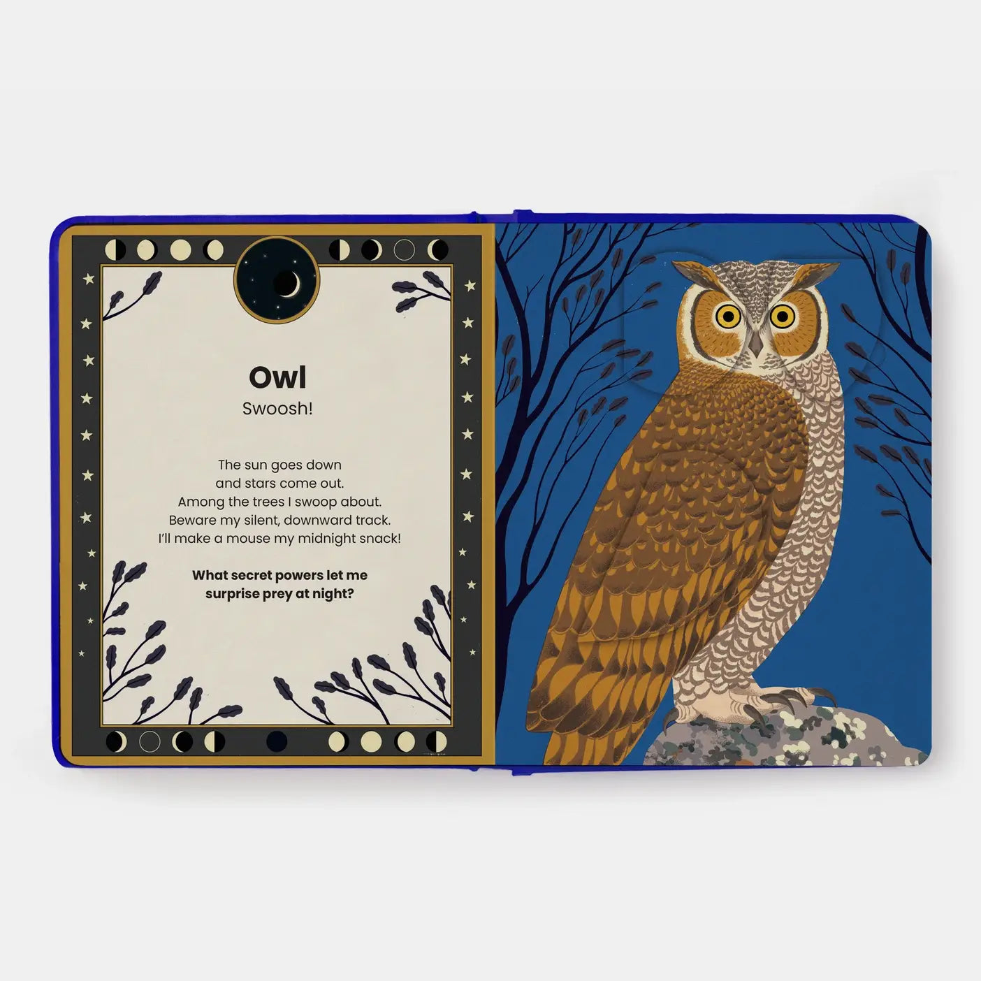 The Secret Powers Of Animals