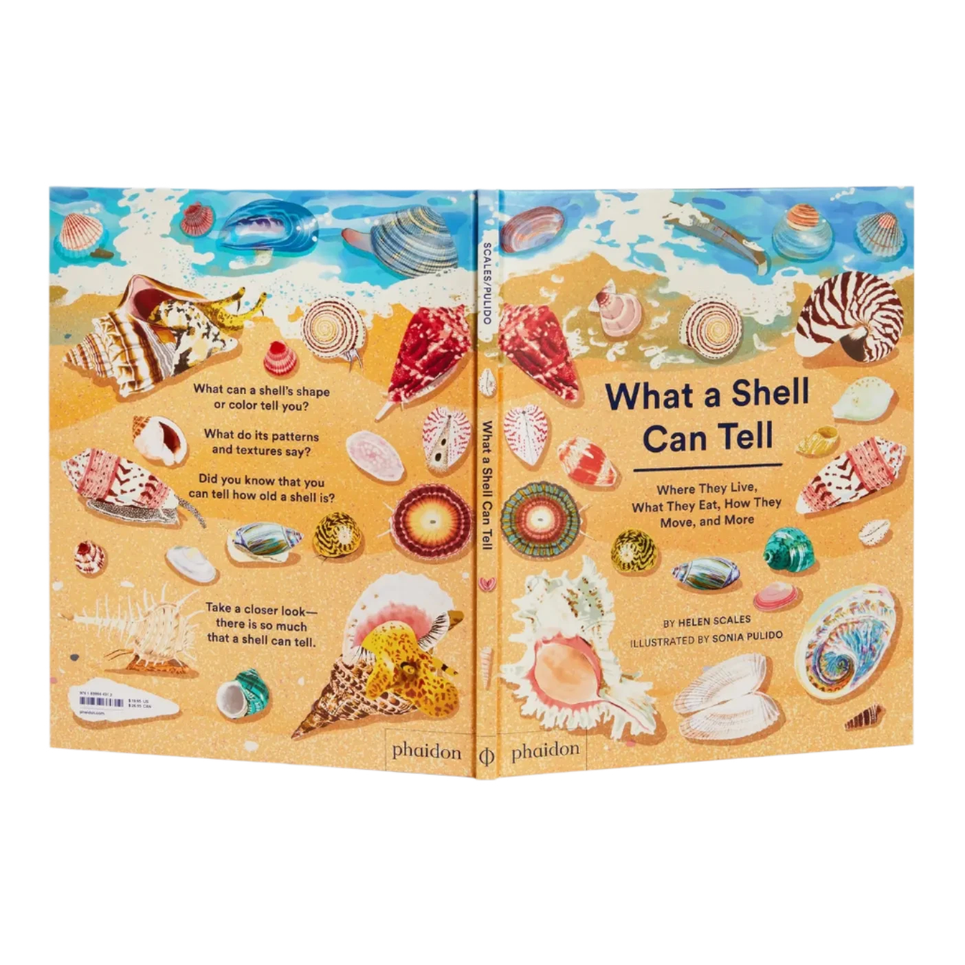 What A Shell Can Tell