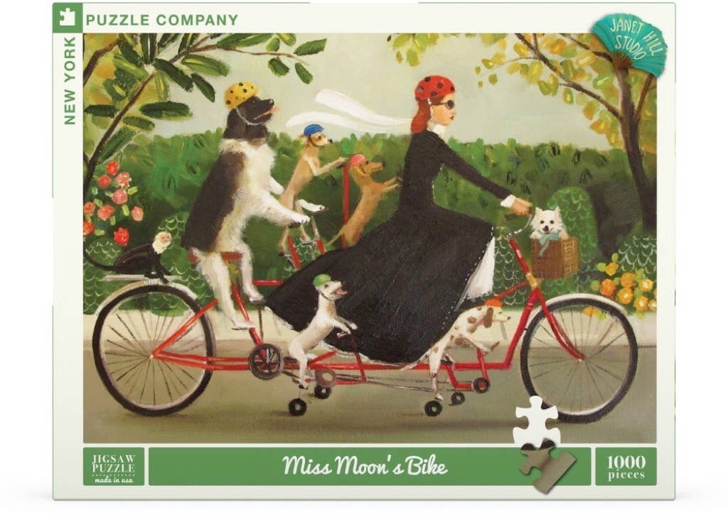 Miss Moon's Bike Puzzle by Janet Hill