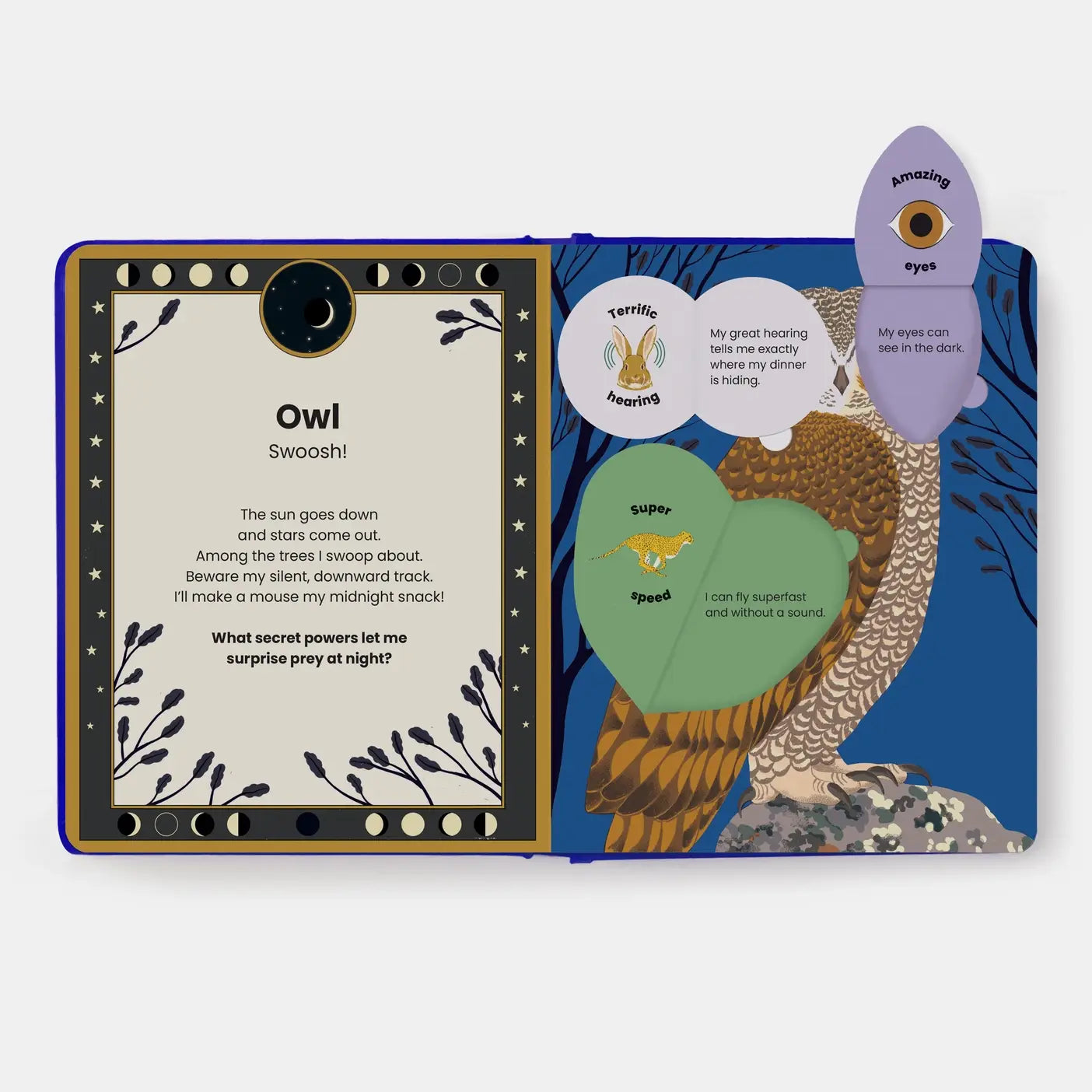 The Secret Powers Of Animals