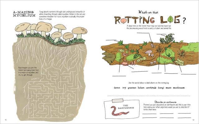 Nature Anatomy | Activity Book