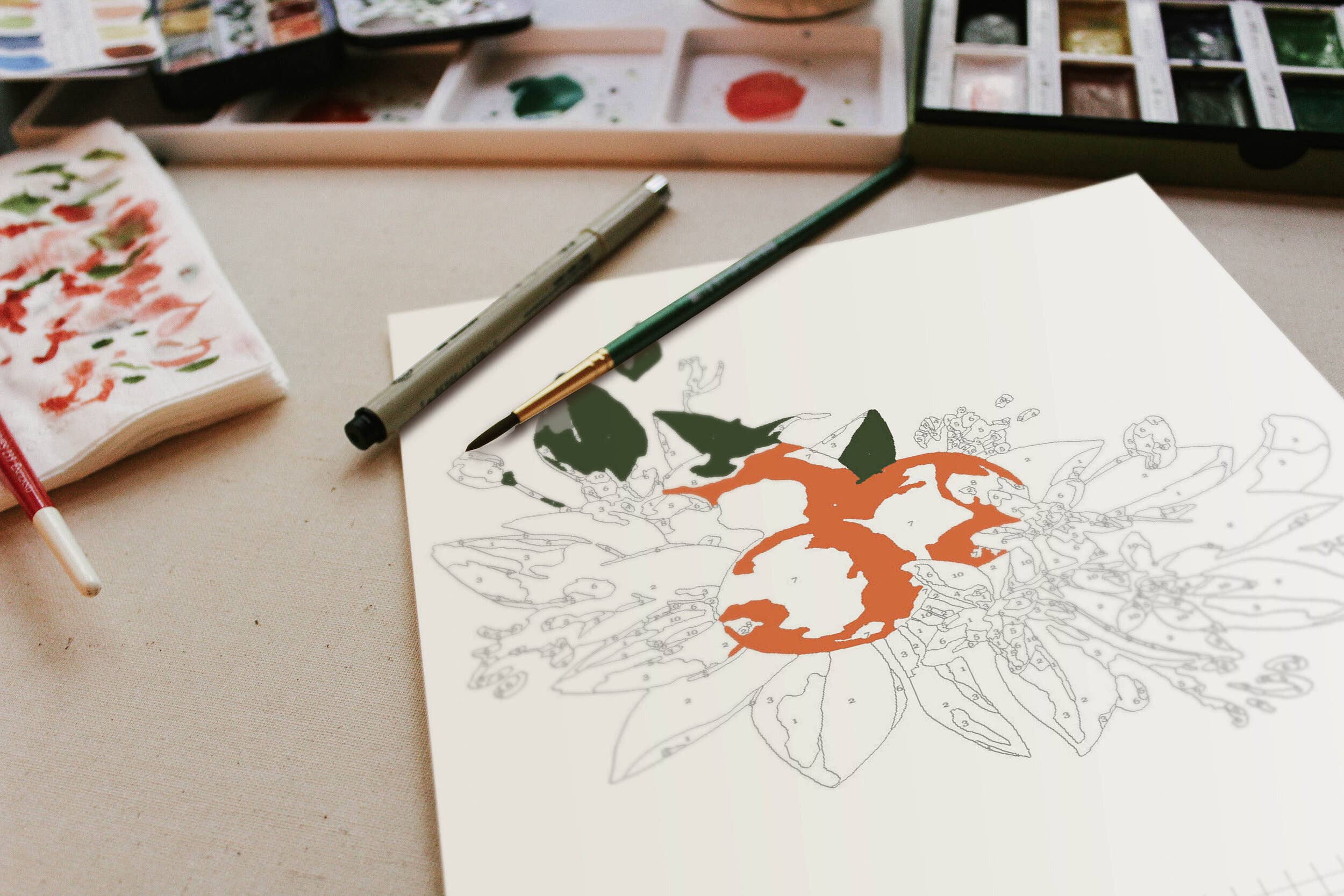 Orange Blossoms Paint-By-Numbers Kit