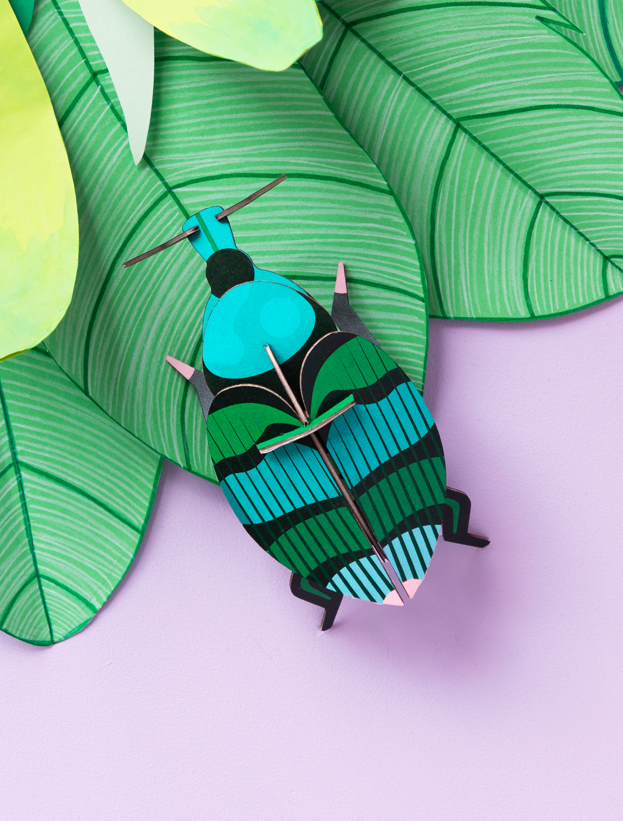 Weevil Beetle 3D Wall Art Craft Kit