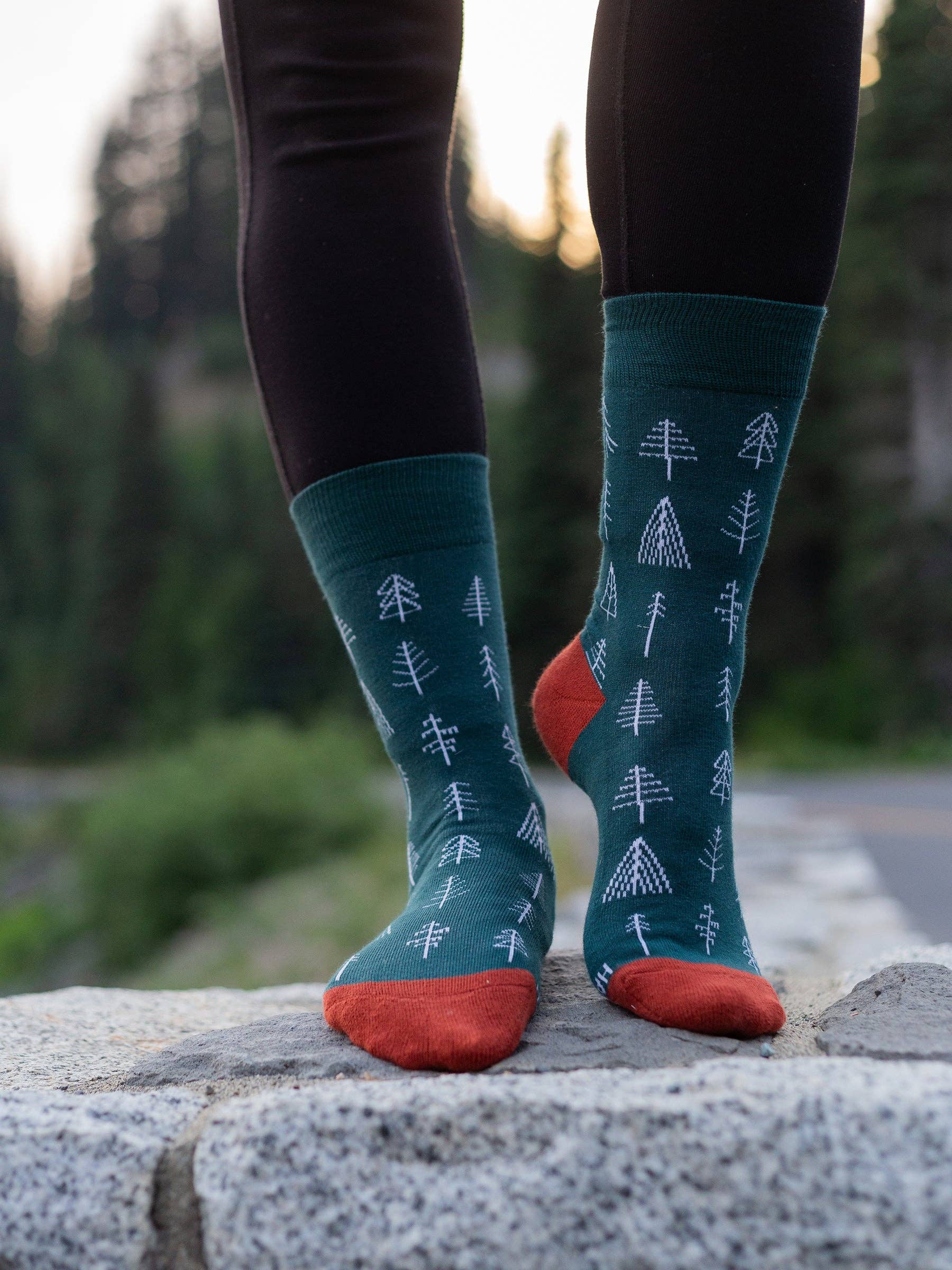 Arboretum Socks - One Size Fits All
