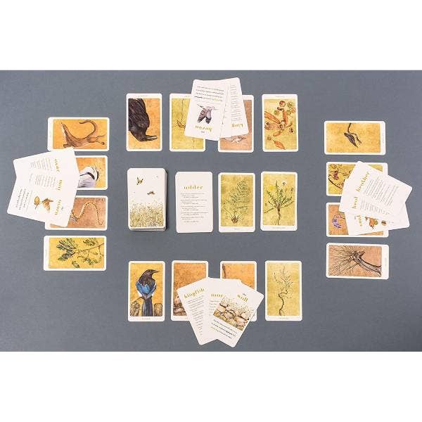 The Lost Words Card Game